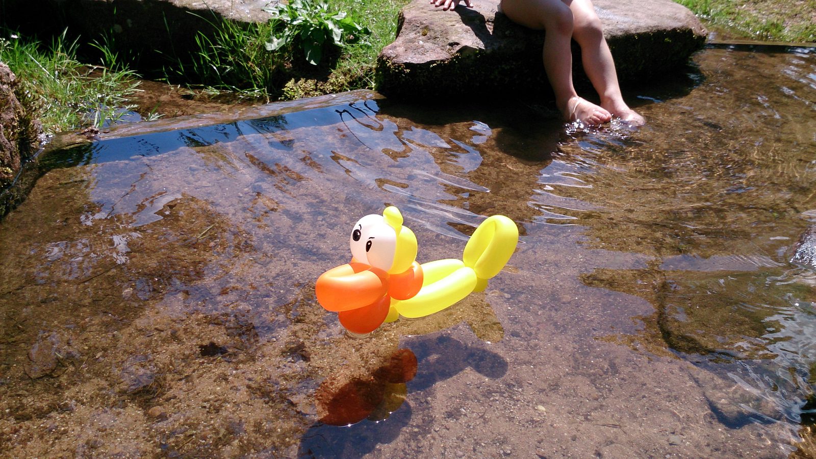 Ballonfigur einer Ente auf einem Teich